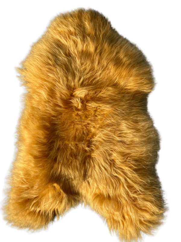 Gold Wool