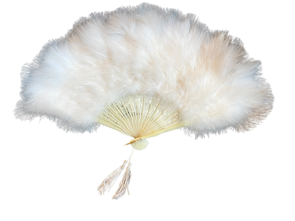 Feather Fan