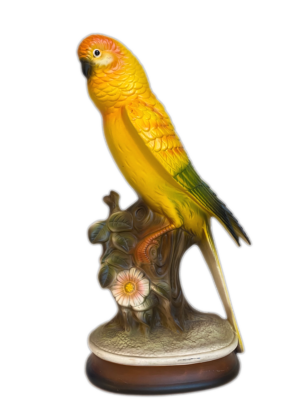 Parakeet