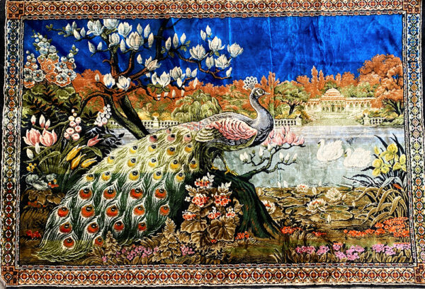 Peacock